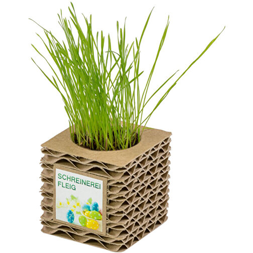 Cubo de cartón corrugado para plantas Mini - Girasol, Imagen 2