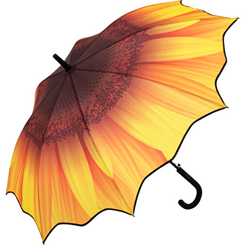 Paraguas de CA Motivo FARE, Imagen 1