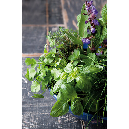 Mini pot terre cuite en fourreau fleur avec graines - Mélange d herbes aromatiques, Image 5