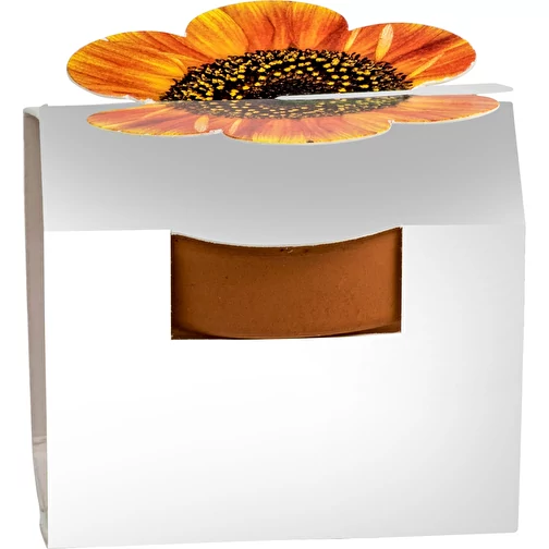 Mini pot terre cuite en fourreau fleur avec graines - Basilic, Image 6
