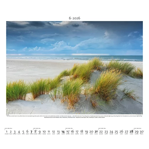 , Bild 7
