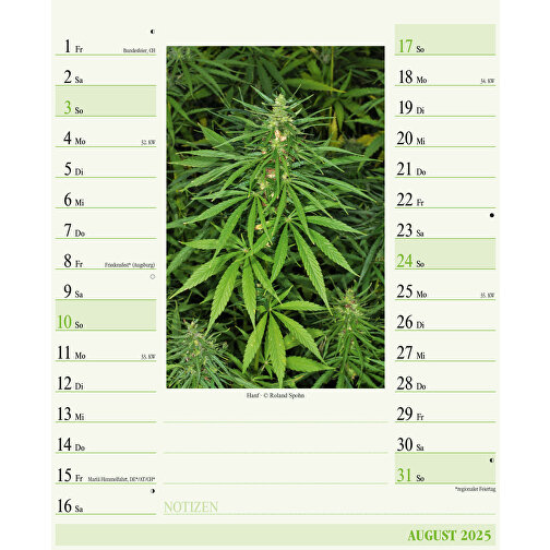 Heilpflanzen , Papier, 32,00cm x 22,00cm (Höhe x Breite), Bild 16