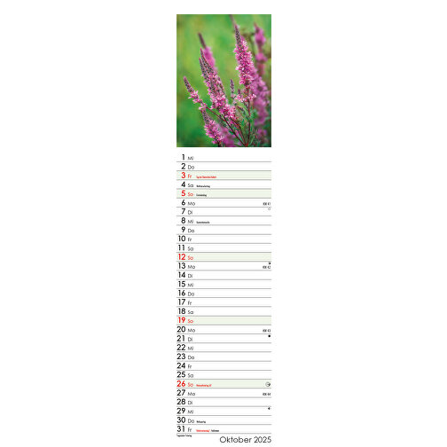 Wunderwelt Heilpflanzen , Papier, 55,30cm x 11,30cm (Höhe x Breite), Bild 20