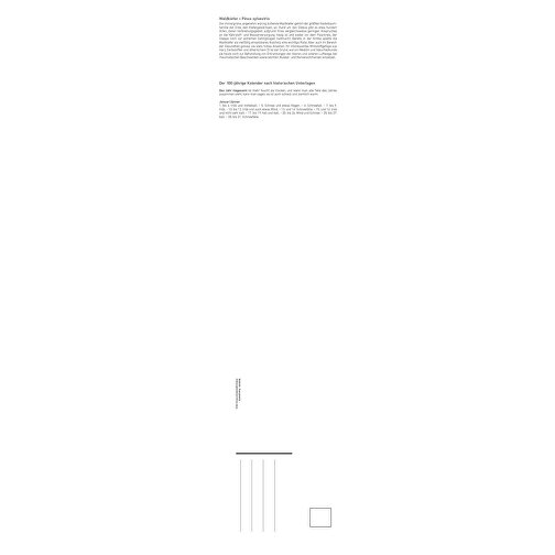 Wunderwelt Heilpflanzen , Papier, 55,30cm x 11,30cm (Höhe x Breite), Bild 3