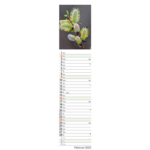 Wunderwelt Heilpflanzen , Papier, 55,30cm x 11,30cm (Höhe x Breite), Bild 4