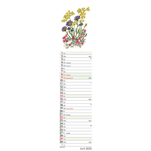 Blütenschau , Papier, 55,30cm x 11,30cm (Höhe x Breite), Bild 12