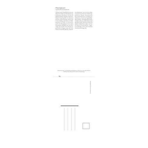 Gesundheit Durch Heilkräuter , Papier, 42,00cm x 11,90cm (Höhe x Breite), Bild 7