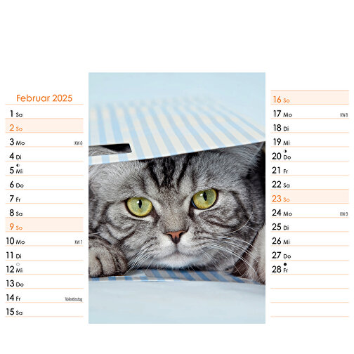 Katzen , Papier, 16,60cm x 20,00cm (Höhe x Breite), Bild 4