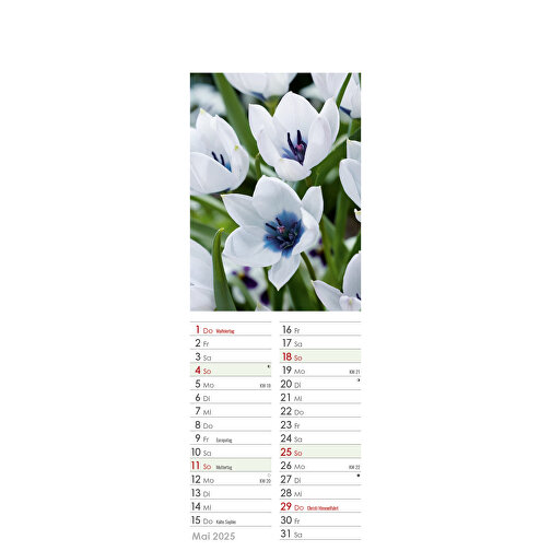 Farbige Blumenwelt , Papier, 34,00cm x 11,90cm (Höhe x Breite), Bild 10