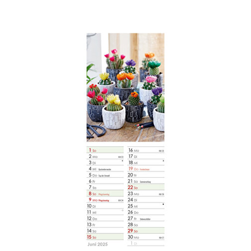 Farbige Blumenwelt , Papier, 34,00cm x 11,90cm (Höhe x Breite), Bild 12