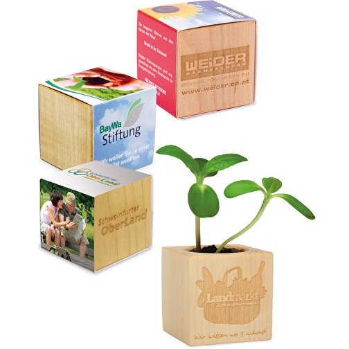Papel para plantar hierba de madera incl. 2 caras con láser - Girasol, Imagen 1