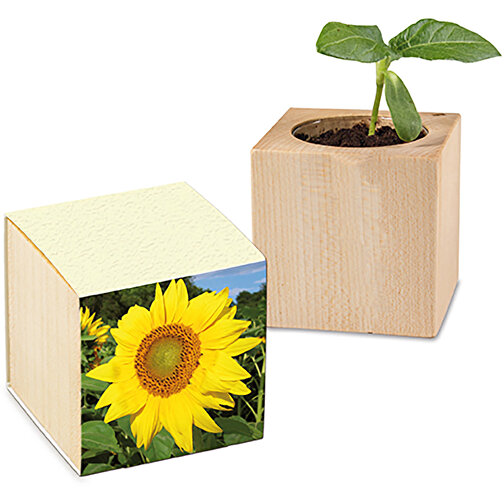 Pflanz-Holz Mit Samen (Graspapier-Banderole) - Sonnenblume , individuell, Papier, Holz, Erde, Saatgut, 4,00cm x 4,00cm x 4,00cm (Länge x Höhe x Breite), Bild 1