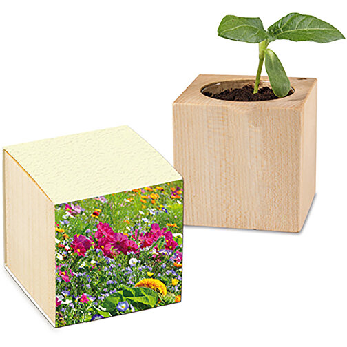 Pflanz-Holz Mit Samen (Graspapier-Banderole) - Sommerblumenmischung , individuell, Papier, Holz, Erde, Saatgut, 4,00cm x 4,00cm x 4,00cm (Länge x Höhe x Breite), Bild 1