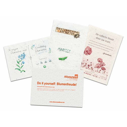 Carta da semina DIN A6 - 10,5 x 14,8 cm - Cartolina postale - Miscela di erbe 4/0-c, Immagine 1