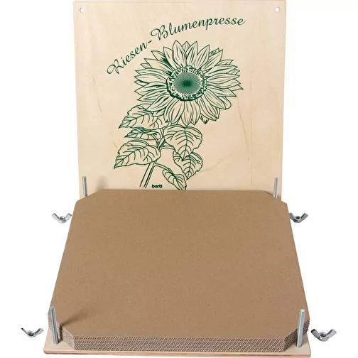 Presse-fleurs géant 30 x 30 cm, Image 3