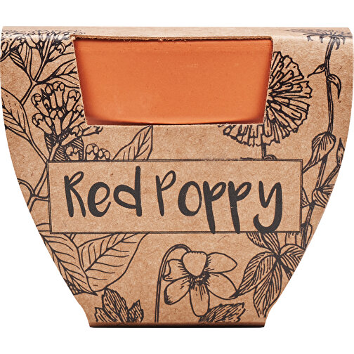 Red Poppy, Image 2
