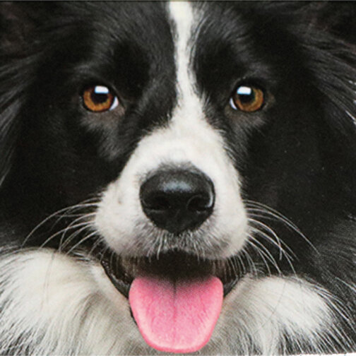 Q-Puzzle Hund , , 12,50cm x 0,10cm x 12,50cm (Länge x Höhe x Breite), Bild 1