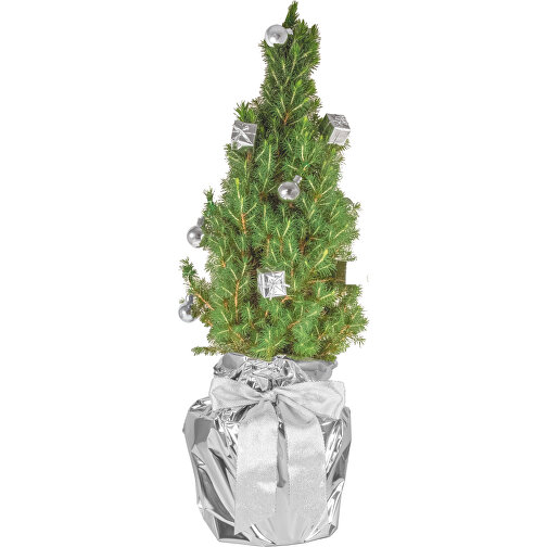 Drzewo srebrne blyszczace, Obraz 1