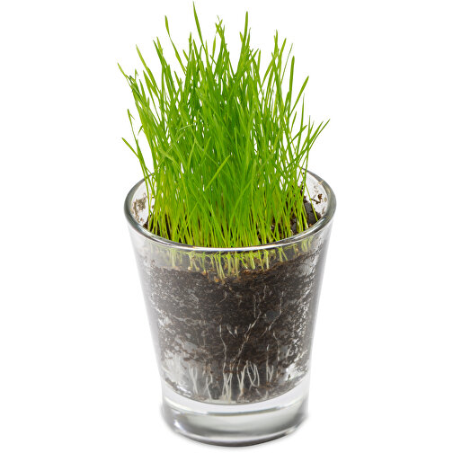 Verre 'expresso' avec graines - Mélange d herbes aromatiques, Image 2