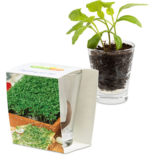 Caffeino-Glas Mit Samen - Gartenkresse , Glas, Erde, Saatgut, Papier, 5,80cm x 7,00cm x 5,80cm (Länge x Höhe x Breite), Bild 1