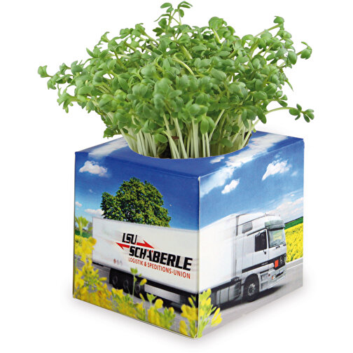 Cube à planter 2.0 avec graines - Marguerite, Image 4