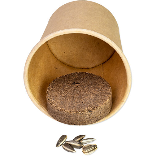 Pflanz-Würfel 2.0 Mit Samen - Kräutermischung , individuell, Papier, Saatgut, Kunststoff, 6,20cm x 6,20cm x 6,20cm (Länge x Höhe x Breite), Bild 2