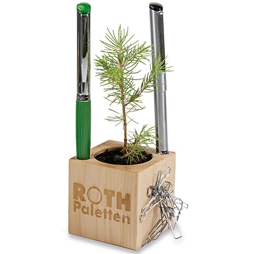 Plant Wood Office Star Box - Tomillo, 1 cara grabada con láser, Imagen 2