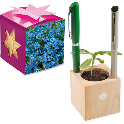 Pot cube boisde bureau en boite star-box avec graines - Myosotis, Image 1