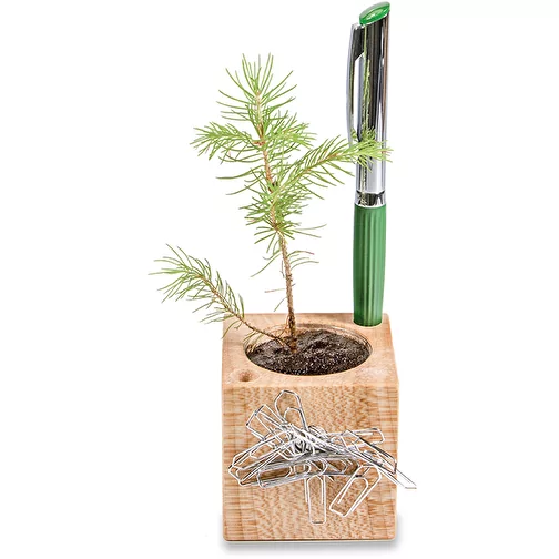 Pot cube boisde bureau en boite star-box avec graines - Souci, Image 3