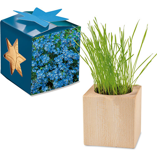 Plant Wood Maxi Star Box - Forget-me-not, 2 sider laseret, Billede 1