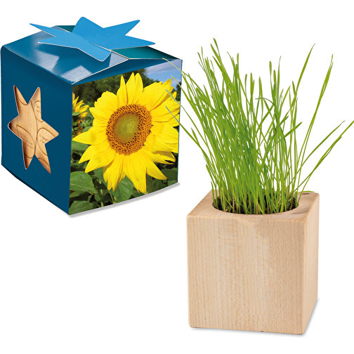 Pflanz-Holz Maxi Star-Box Mit Samen - Sonnenblume, 2 Seiten Gelasert , individuell, Papier, Holz, Erde, Saatgut, 6,00cm x 6,00cm x 6,00cm (Länge x Höhe x Breite), Bild 1