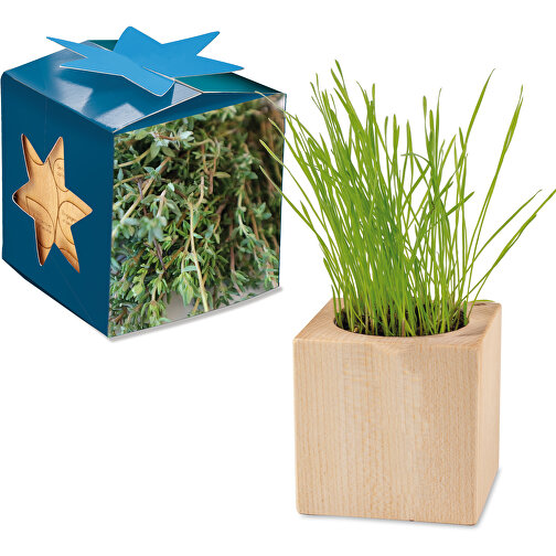 Caja Plant Wood Maxi Star - Tomillo, 1 cara con láser, Imagen 1
