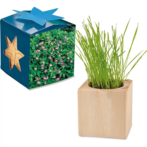 Pot cube bois Maxi en boite star-box avec graines - Trèfle persan, 1 sites gravés au laser, Image 1