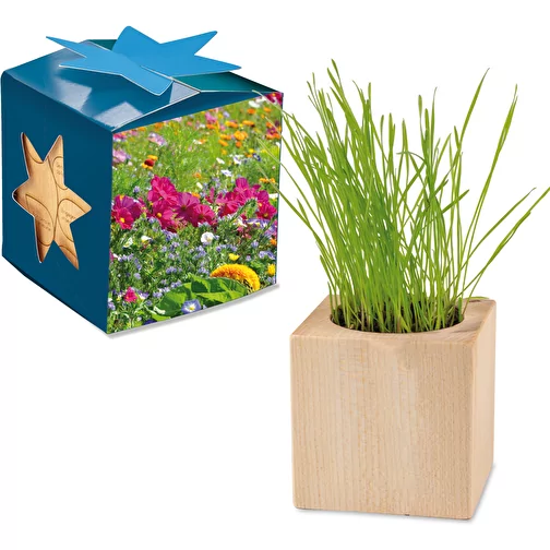 Pot cube bois Maxi en boite star-box avec graines - Mélange de fleurs d été, Image 1