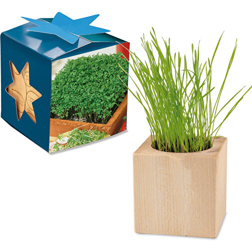 Cassetta di legno per piante Maxi Star Box - Crescione da giardino, senza vetro, Immagine 1