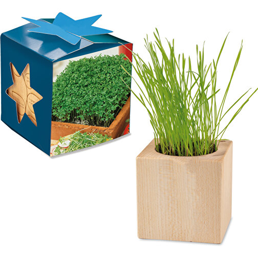 Pflanz-Holz Maxi Star-Box Mit Samen - Gartenkresse , individuell, Papier, Holz, Erde, Saatgut, 6,00cm x 6,00cm x 6,00cm (Länge x Höhe x Breite), Bild 1