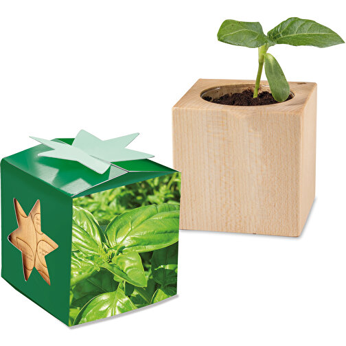 Scatola di stelle in legno per piante - Basilico, 1 lato laserato, Immagine 1
