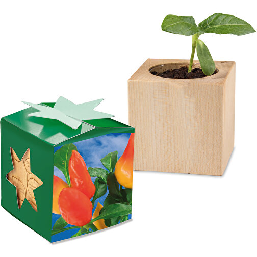 Pflanz-Holz Star-Box Mit Samen - Gewürzpaprika , individuell, Papier, Holz, Erde, Saatgut, 4,00cm x 4,00cm x 4,00cm (Länge x Höhe x Breite), Bild 1