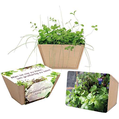 Mini-jardinière bois avec graines - Mélange d herbes aromatiques, Image 1
