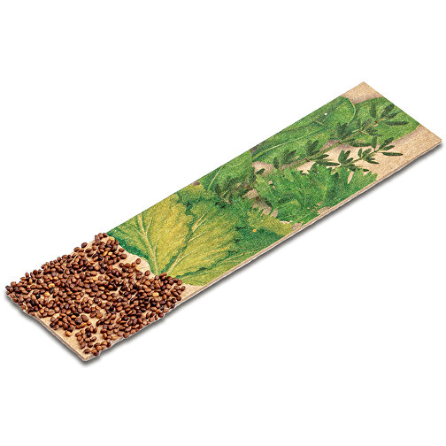 Kräuter-Stick Mit Samen - Schnittsalat , standard, Saatgut, Papier, 5,50cm x 8,00cm (Länge x Breite), Bild 5
