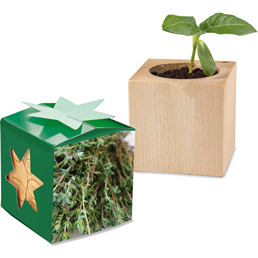 Plant Wood Star Box - Tomillo, 2 caras con láser, Imagen 1