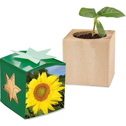 Pflanz-Holz Star-Box Mit Samen - Sonnenblume, 2 Seiten Gelasert , individuell, Papier, Holz, Erde, Saatgut, 4,00cm x 4,00cm x 4,00cm (Länge x Höhe x Breite), Bild 1