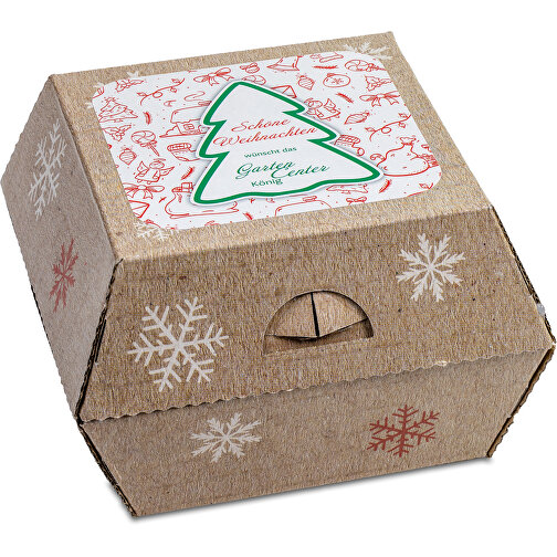 Coffret cadeau de Noël - Pot en argile avec graines d épicéa, Père Noël en chocolat, sapin en , Image 2