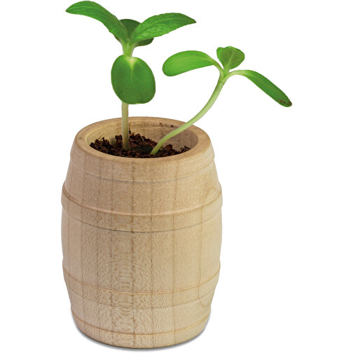 Mini-tonneau en bois avec graines - Thym, Image 2