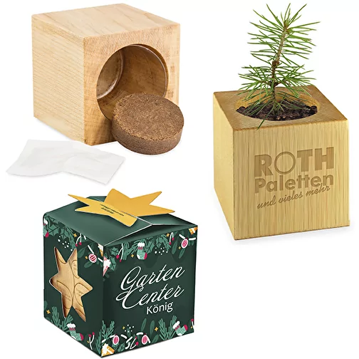 Maxi Star-Box à planter avec graines - épicéa, 1 face gravée au laser, Image 1