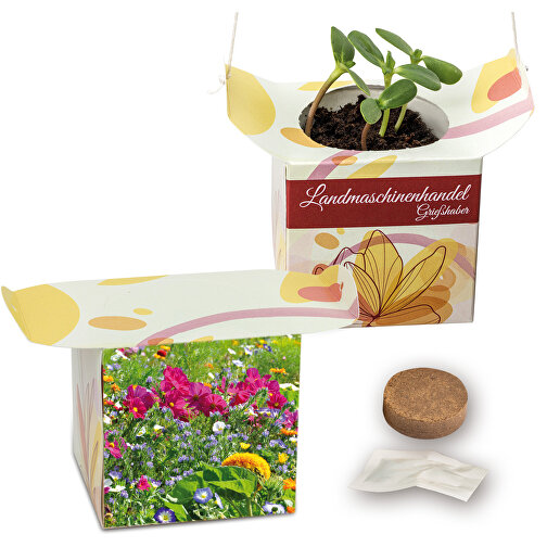 Blumenampel - Sommerblumenmischung , Papier, Saatgut, Kunststoff, 6,20cm x 12,40cm x 6,20cm (Länge x Höhe x Breite), Bild 1