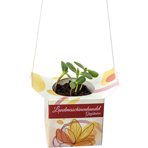 Blumenampel - Sommerblumenmischung , Papier, Saatgut, Kunststoff, 6,20cm x 12,40cm x 6,20cm (Länge x Höhe x Breite), Bild 2