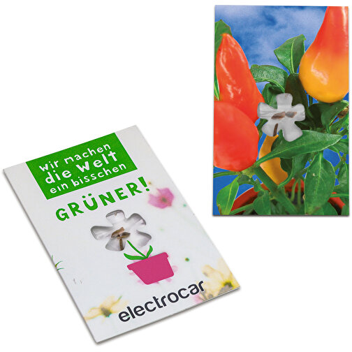Carte de graines-Mini fleur - Poivron d\'épices, Image 1