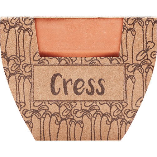 Cress Pot, Image 3