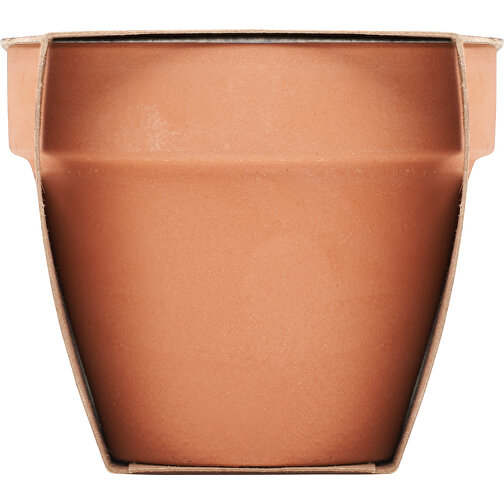 Cress Pot, Image 5